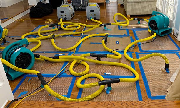 Professional Flood Damage Restoration technician working in Carthage, SD